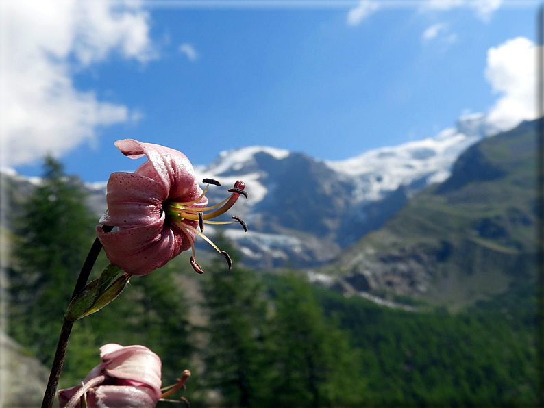 foto Colle della Bettolina Superiore